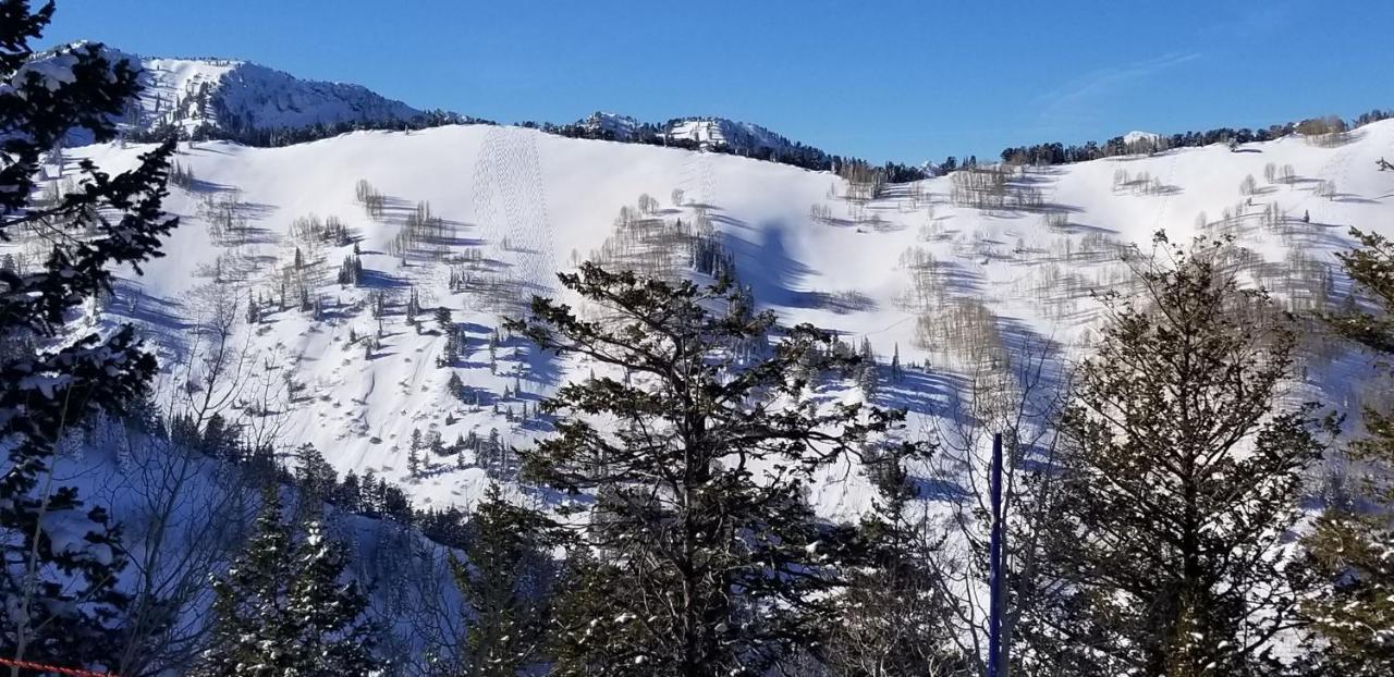Stunning At Solitude, Steps From Chair Lift, East #103 Brighton Exteriör bild