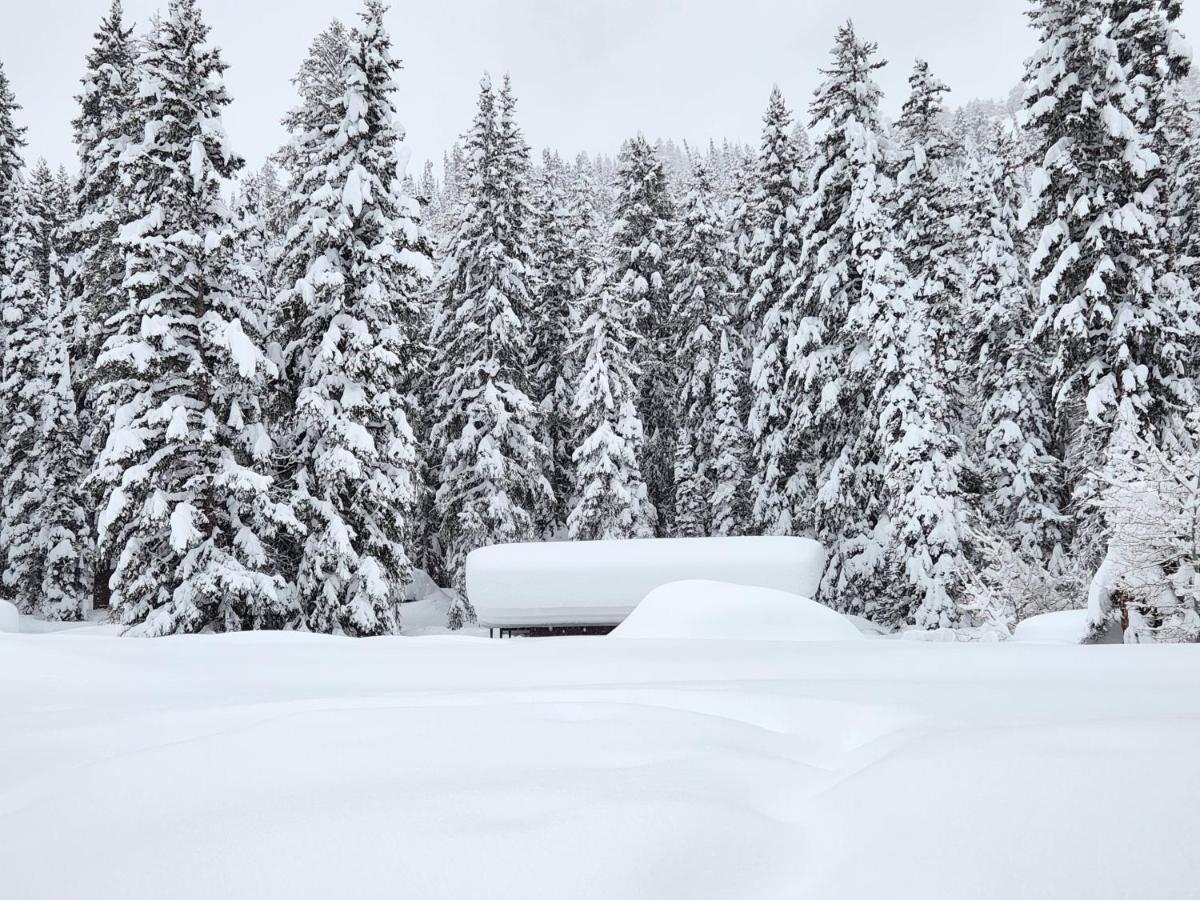Stunning At Solitude, Steps From Chair Lift, East #103 Brighton Exteriör bild