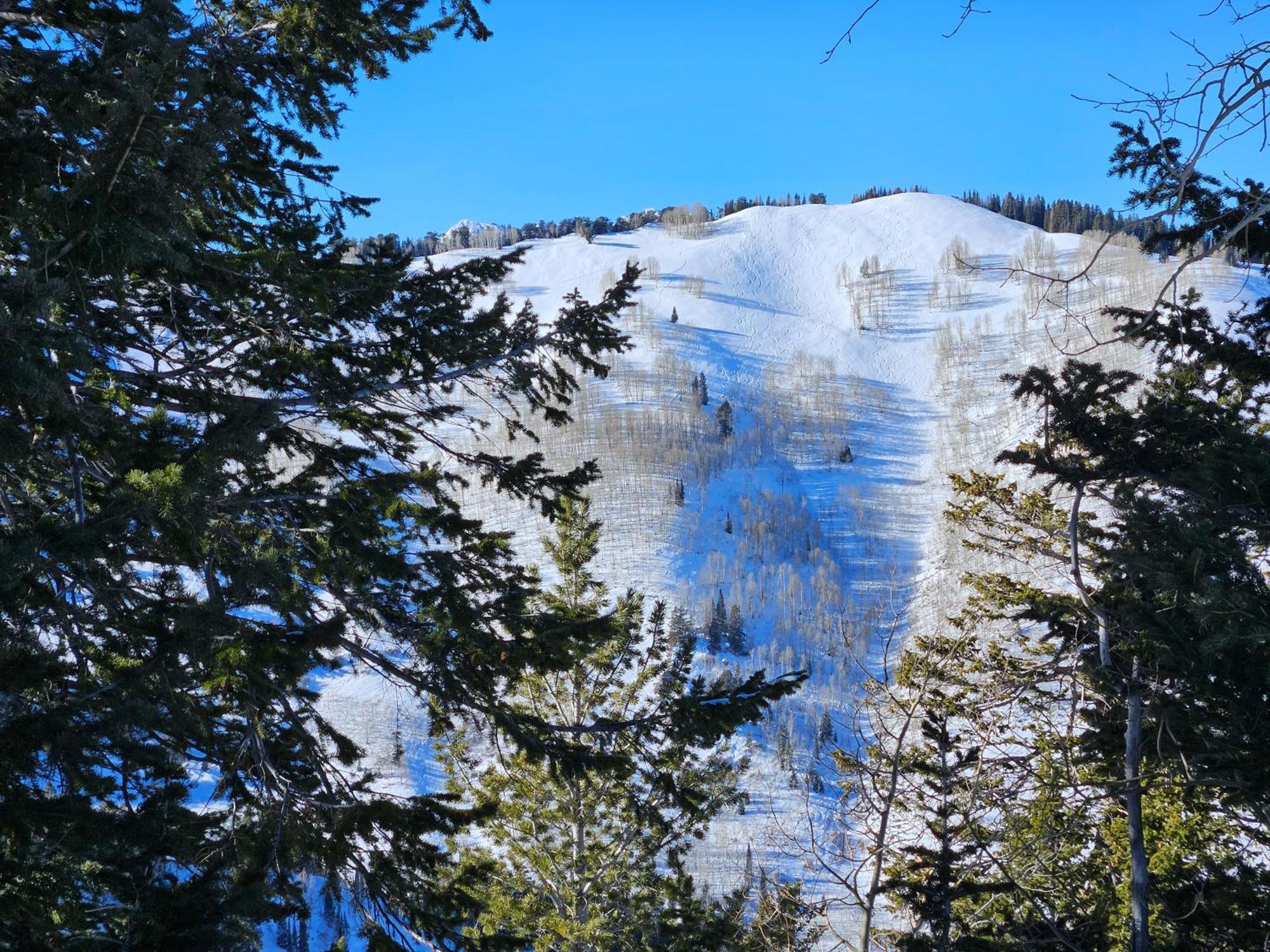 Stunning At Solitude, Steps From Chair Lift, East #103 Brighton Exteriör bild